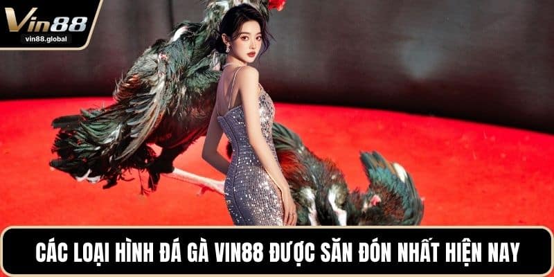Các loại hình đá gà VIN88 được săn đón nhất hiện nay