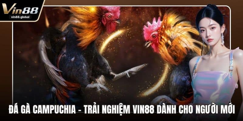 Đá gà campuchia
