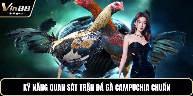 Kỹ năng quan sát trận đá gà campuchia chuẩn